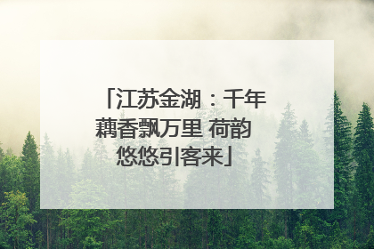 江苏金湖：千年藕香飘万里 荷韵悠悠引客来