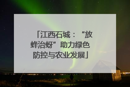 江西石城：“放蜂治蚜”助力绿色防控与农业发展
