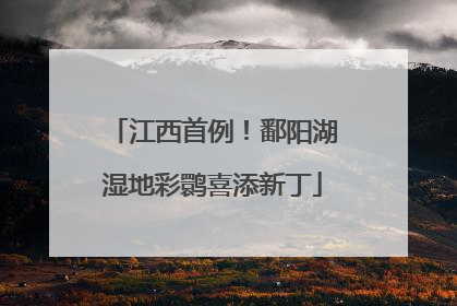 江西首例！鄱阳湖湿地彩鹮喜添新丁