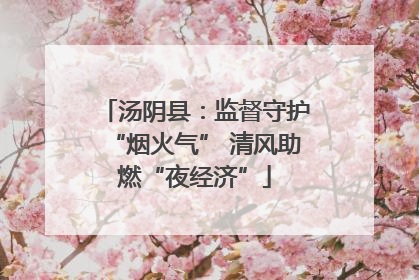 汤阴县：监督守护“烟火气” 清风助燃“夜经济”