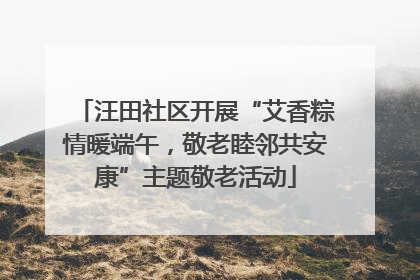 汪田社区开展“艾香粽情暖端午，敬老睦邻共安康”主题敬老活动
