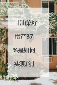 油菜籽增产37%是如何实现的