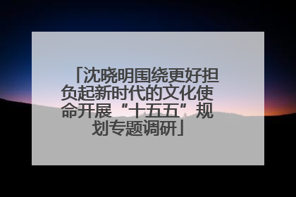 沈晓明围绕更好担负起新时代的文化使命开展“十五五”规划专题调研