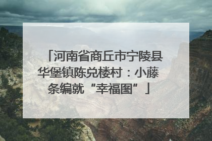 河南省商丘市宁陵县华堡镇陈兑楼村：小藤条编就“幸福图”