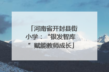 河南省开封县街小学：“银发智库”赋能教师成长