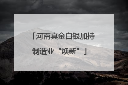 河南真金白银加持制造业“焕新”