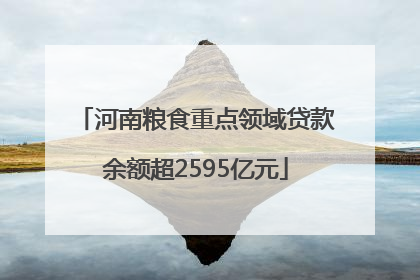 河南粮食重点领域贷款余额超2595亿元