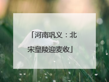 河南巩义：北宋皇陵迎麦收