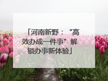 河南新野：“高效办成一件事”解锁办事新体验