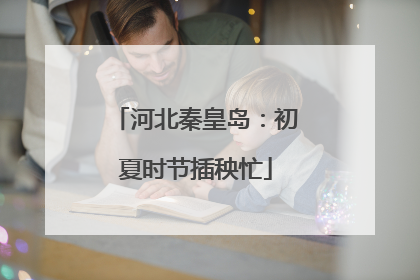 河北秦皇岛：初夏时节插秧忙