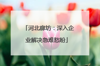 河北廊坊：深入企业解决急难愁盼