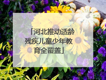 河北推动适龄残疾儿童少年教育全覆盖