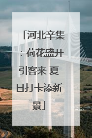 河北辛集：荷花盛开引客来 夏日打卡添新景