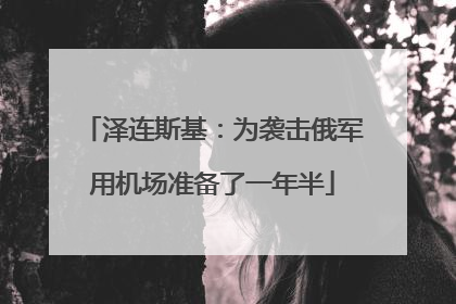 泽连斯基：为袭击俄军用机场准备了一年半