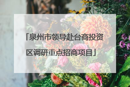泉州市领导赴台商投资区调研重点招商项目