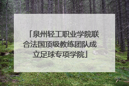 泉州轻工职业学院联合法国顶级教练团队成立足球专项学院