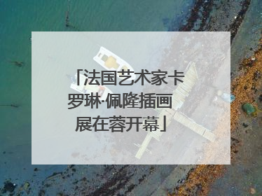 法国艺术家卡罗琳·佩隆插画展在蓉开幕