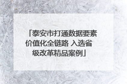 泰安市打通数据要素价值化全链路 入选省级改革精品案例