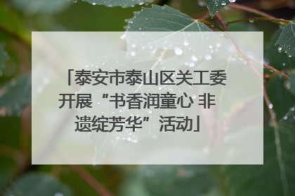 泰安市泰山区关工委开展“书香润童心 非遗绽芳华”活动