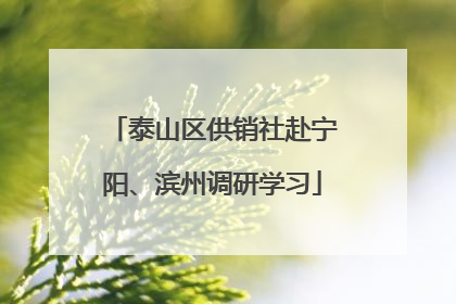 泰山区供销社赴宁阳、滨州调研学习