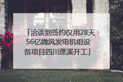 洽谈到签约仅用28天 56亿微风发电机组设备项目四川蓬溪开工