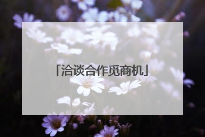 洽谈合作觅商机