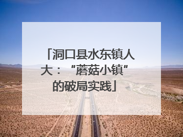 洞口县水东镇人大：“蘑菇小镇”的破局实践