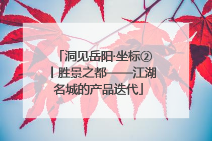 洞见岳阳·坐标②丨胜景之都——江湖名城的产品迭代