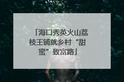 海口秀英火山荔枝王铺就乡村“甜蜜”致富路