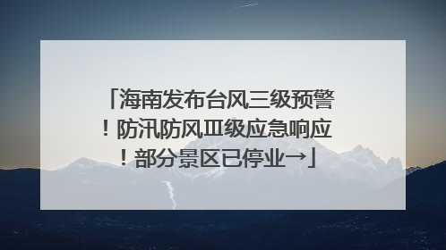 海南发布台风三级预警！防汛防风Ⅲ级应急响应！部分景区已停业→