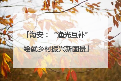 海安：“渔光互补” 绘就乡村振兴新图景