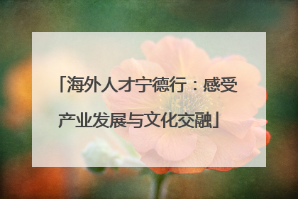 海外人才宁德行：感受产业发展与文化交融