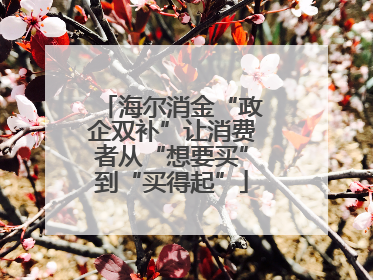 海尔消金“政企双补”让消费者从“想要买”到“买得起”