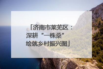 济南市莱芜区：深耕“一株桑” 绘就乡村振兴图