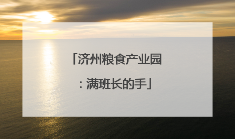 济州粮食产业园：满班长的手