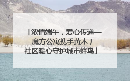 浓情端午，爱心传递——魔方公寓携手黄木 厂社区暖心守护城市蜂鸟