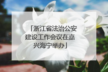 浙江省法治公安建设工作会议在嘉兴海宁举办