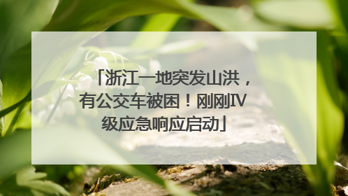 浙江一地突发山洪，有公交车被困！刚刚Ⅳ级应急响应启动