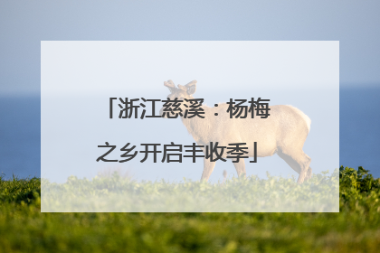 浙江慈溪：杨梅之乡开启丰收季