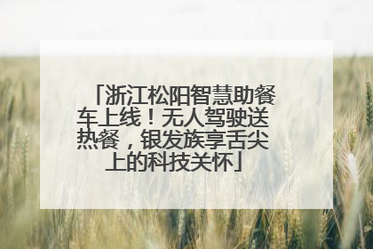 浙江松阳智慧助餐车上线！无人驾驶送热餐，银发族享舌尖上的科技关怀
