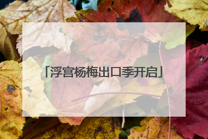 浮宫杨梅出口季开启
