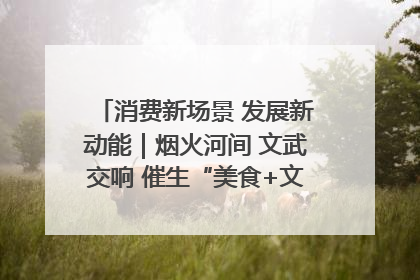 消费新场景 发展新动能｜烟火河间 文武交响 催生“美食+文化”消费新场景