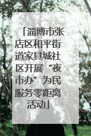 淄博市张店区和平街道家具城社区开展“夜市办”为民服务零距离活动