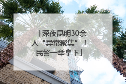 深夜昆明30余人“异常聚集”！民警一举拿下