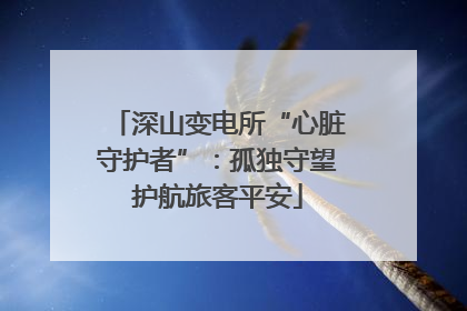 深山变电所“心脏守护者”：孤独守望护航旅客平安