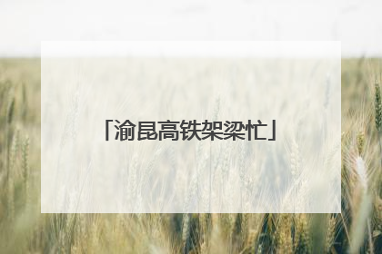 渝昆高铁架梁忙