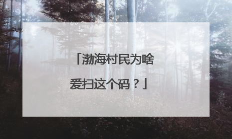 渤海村民为啥爱扫这个码？