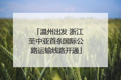 温州出发 浙江至中亚首条国际公路运输线路开通