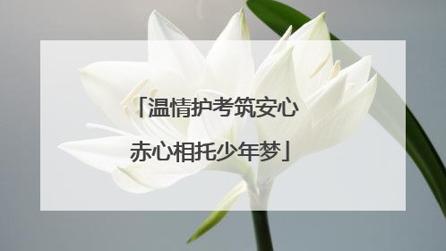 温情护考筑安心 赤心相托少年梦