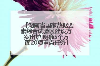 湖南省国家数据要素综合试验区建设方案出炉 明确5个方面20项重点任务
